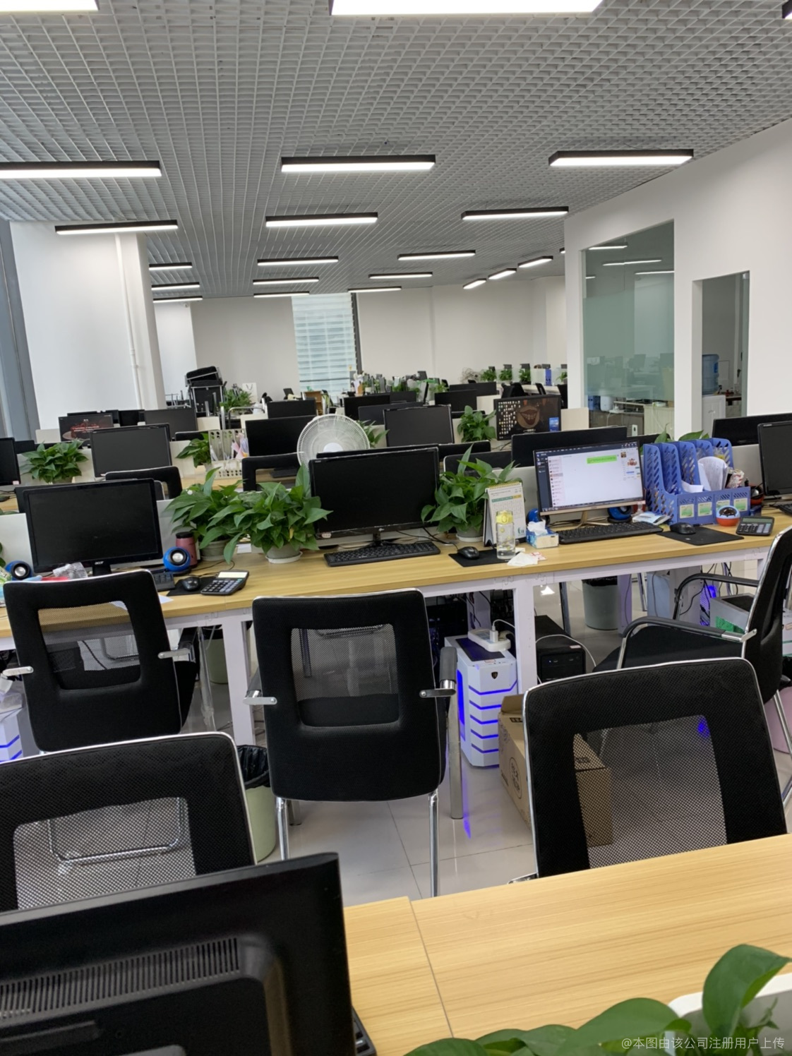 淼淼商务信息咨询 洞察商机，赋能决策